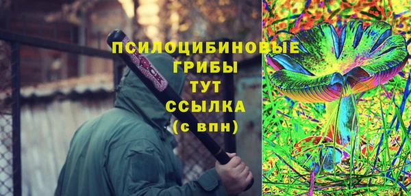 гидропоника Дегтярск
