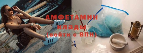индика Пестово