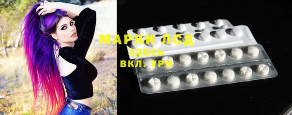 индика Пестово