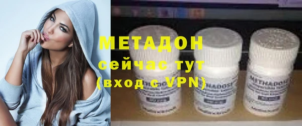 индика Пестово