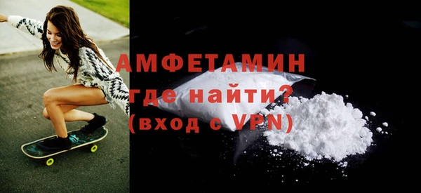 индика Пестово