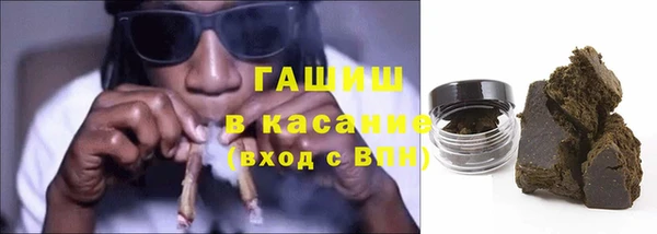 индика Пестово