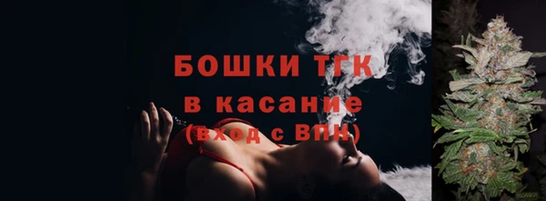 spice Пересвет