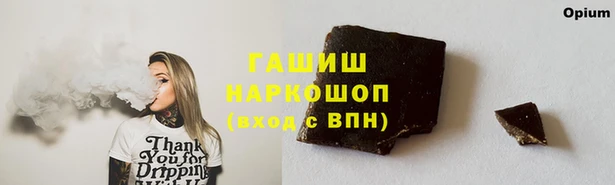 индика Пестово