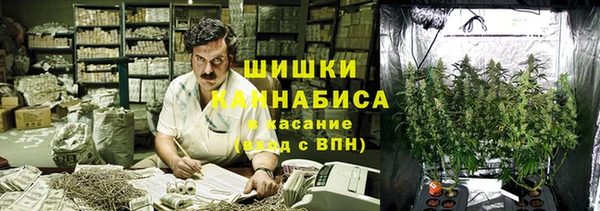 индика Пестово
