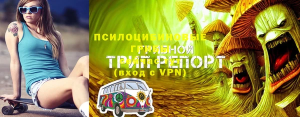индика Пестово