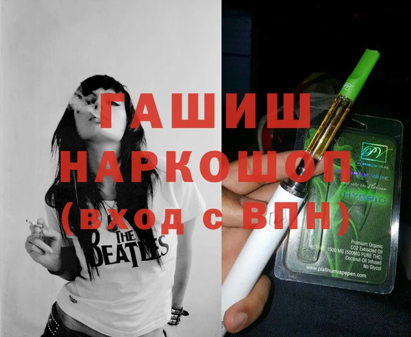 индика Пестово