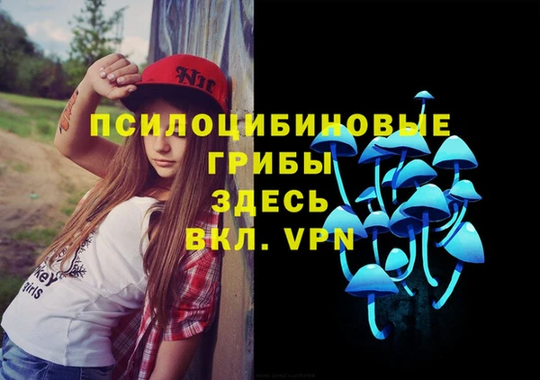 стафф Переславль-Залесский