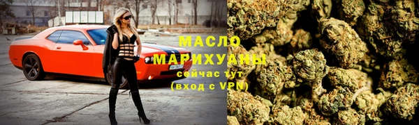 индика Пестово