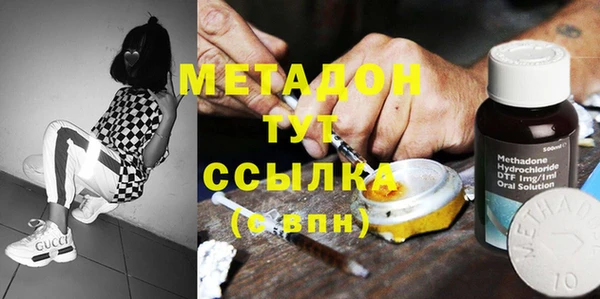 индика Пестово