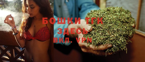 spice Пересвет
