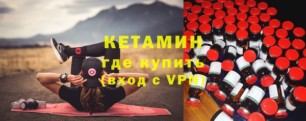 индика Пестово