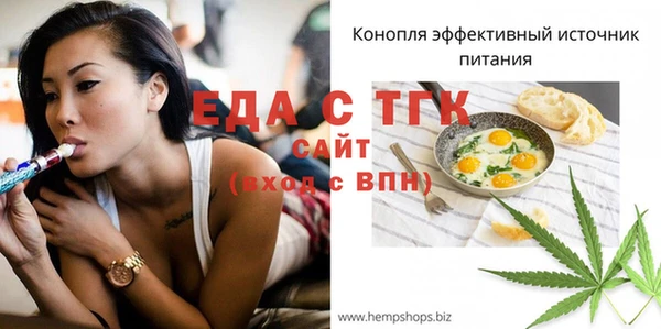 индика Пестово