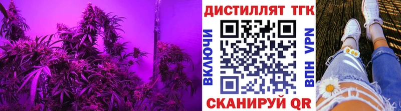 ТГК Wax МЕГА Сегежа