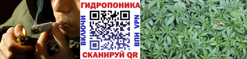 Марихуана семена  Сегежа 